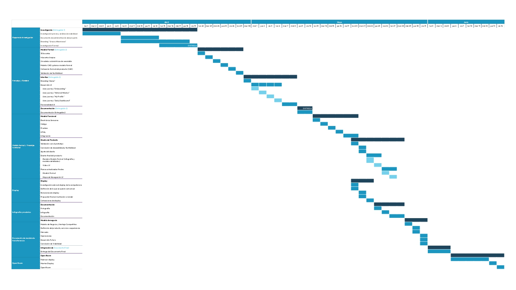 VITA Ring Gantt chart project timeline